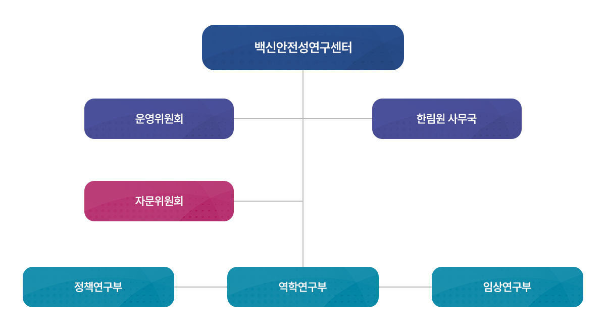 백신안전성연구센터 조직도
